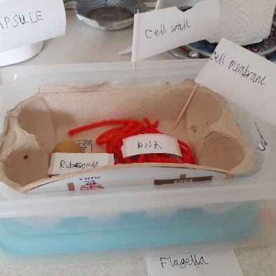 tsa_HomeLearningScience (48)